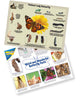 Painted Lady Detailed Life Cycle Poster