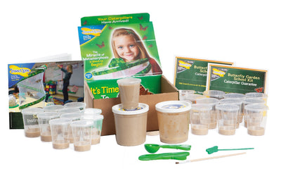 Refill Caterpillars for SCHOOL KIT (33 Caterpillars)
