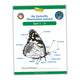 My Butterfly Observation Journal (Ages 7-10)