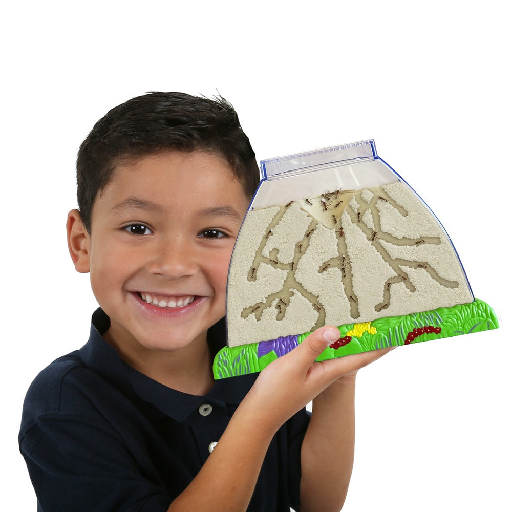 Ant Hill™
