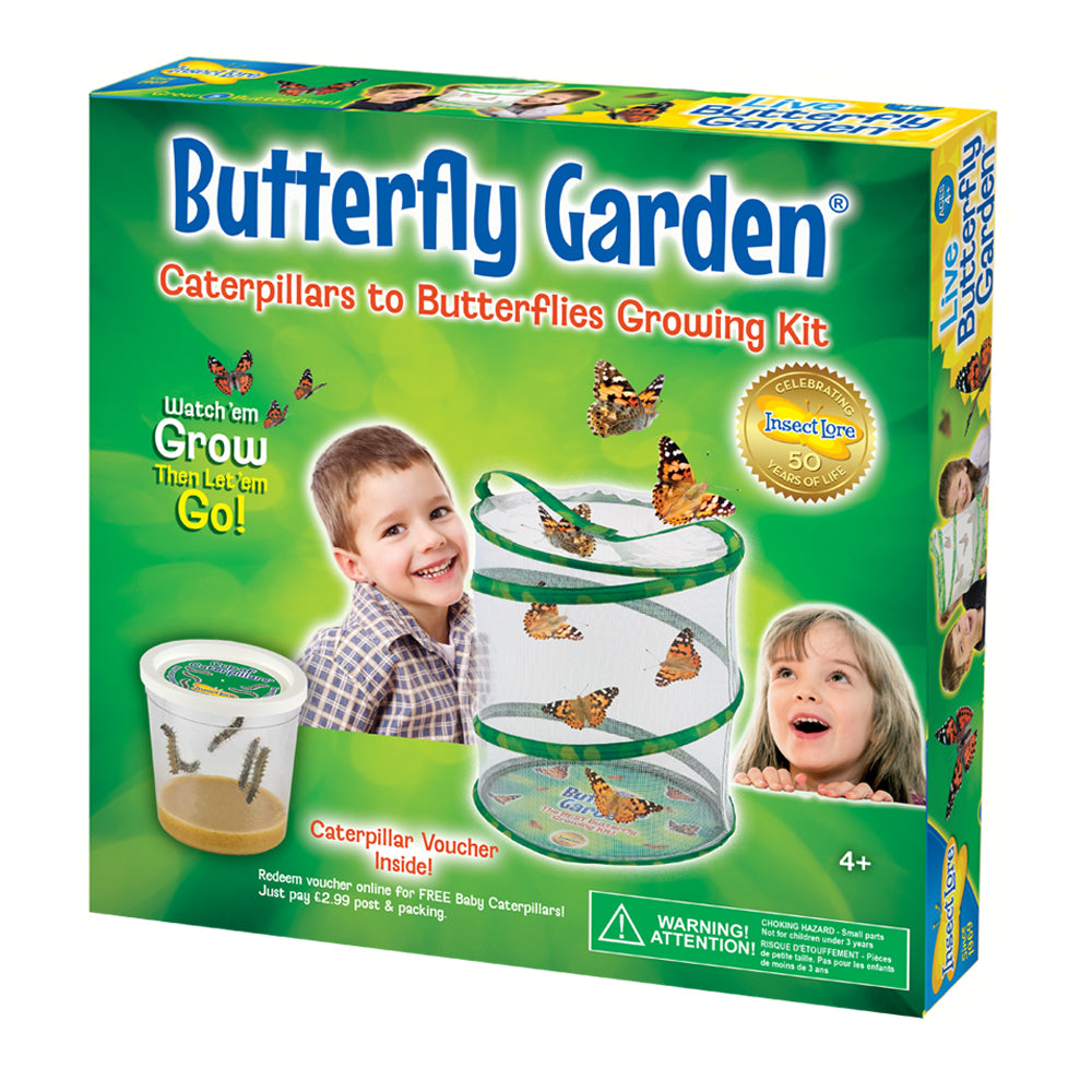 Butterfly garden Box when sent with a Voucher for Live Caterpillars. Watch the caterpillars grow into Painted Lady Butterflies.
