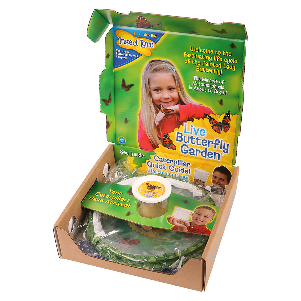 Shipping box for the Butterfly Garden when sent with Live Caterpillars.
