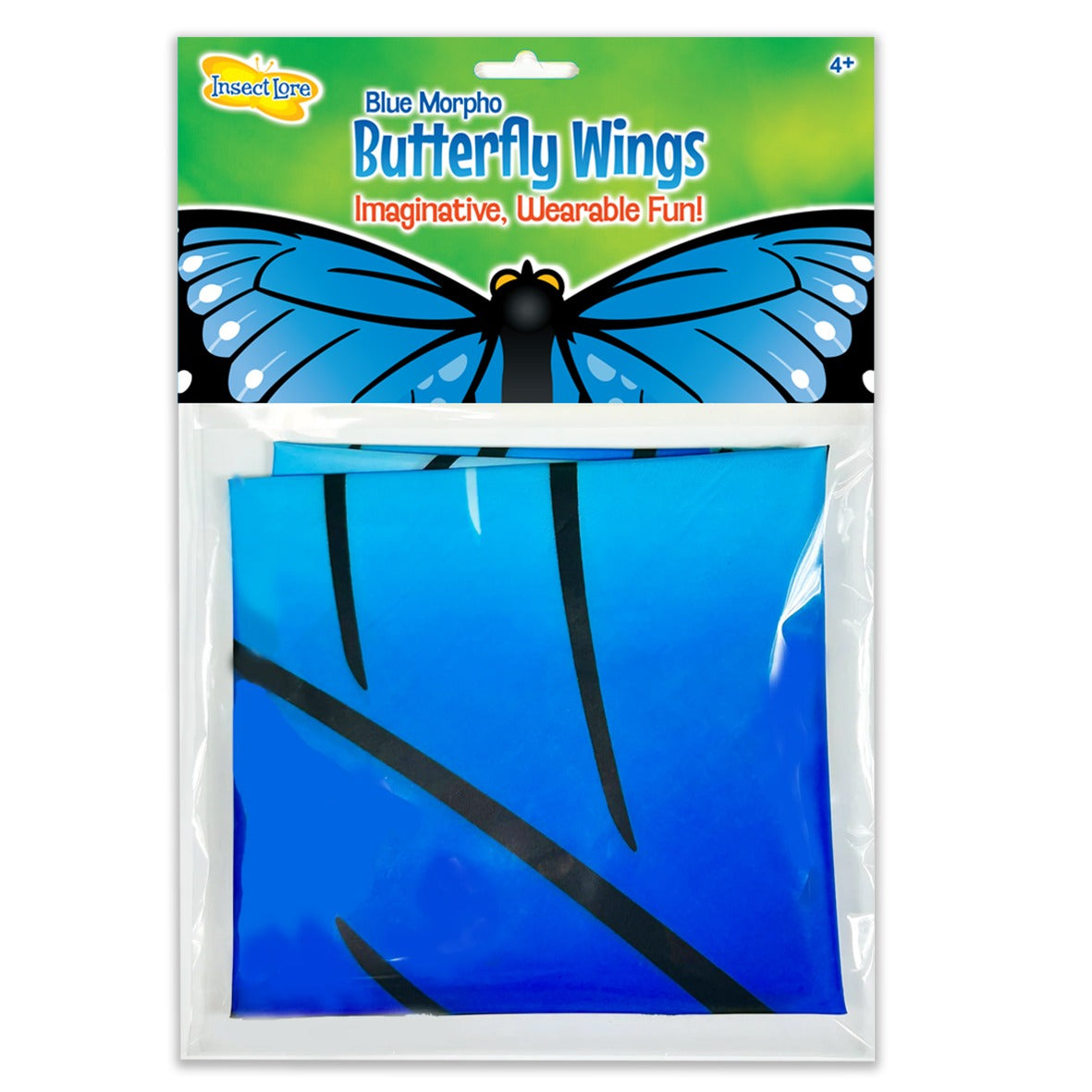 Blue Morpho Butterfly Wings