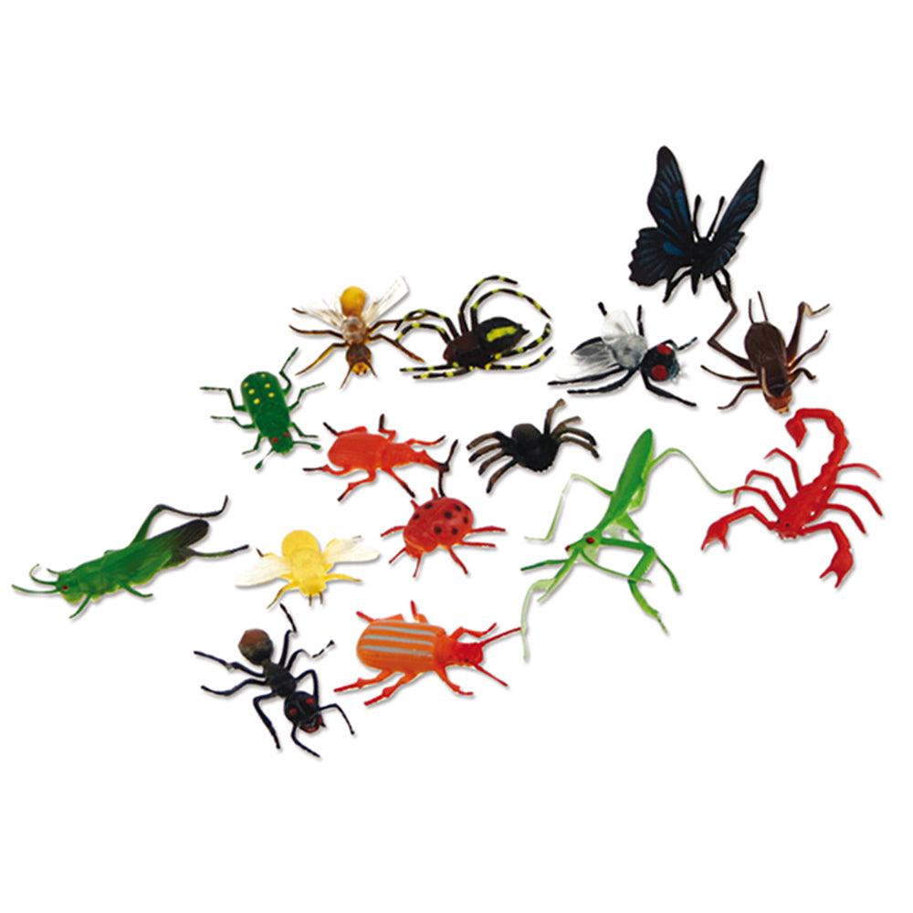 Selection of bugs found in the Bunch O Bugs. Includes: Spiders, grasshopper, scorpion and many more.