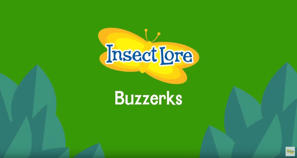 Buzzerks - Praying Mantis
