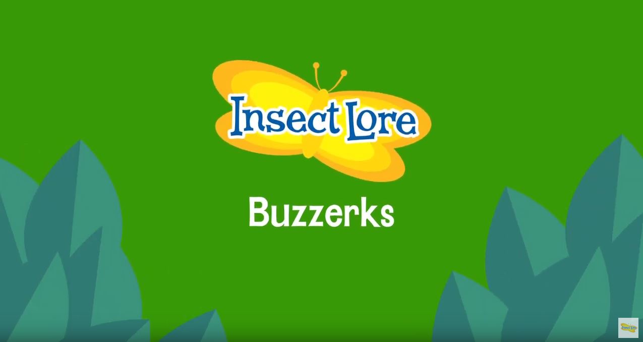 Buzzerks - Praying Mantis
