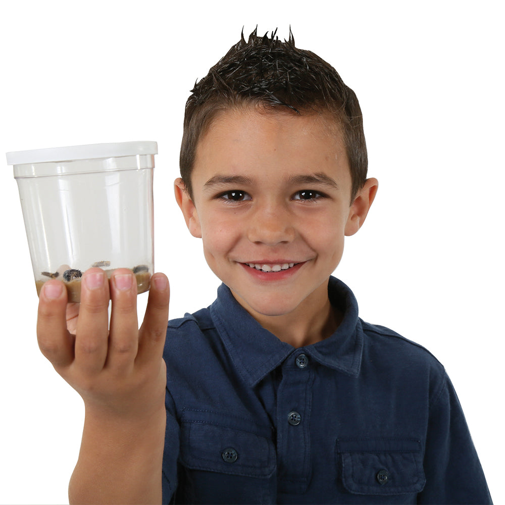 Young Boy holding a Cup of Caterpillars. Includes 3-5 LIVE caterpillars and food to watch grow and release as Painted Lady butterflies.