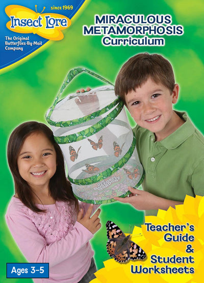 Butterfly Curriculum Early Years
