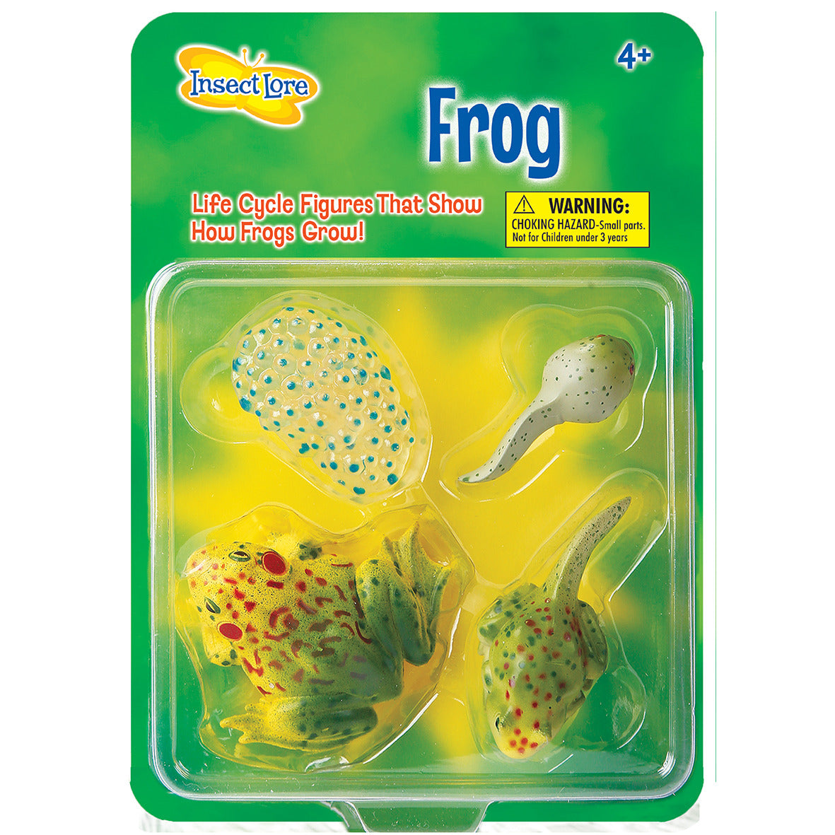 Frog Lifecycle stages. 4 figurines in packaging; Egg, Tadpole, Young Frog, Adult Frog. Plastic and oversized for little hands.