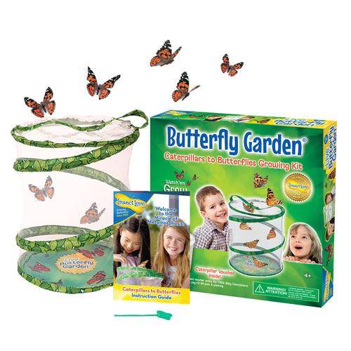 Butterfly Garden with contents out of box: 30cm Pop-up Habitat to watch your caterpillars grow into Painted Lady Butterflies, full colour instructions and Pipette