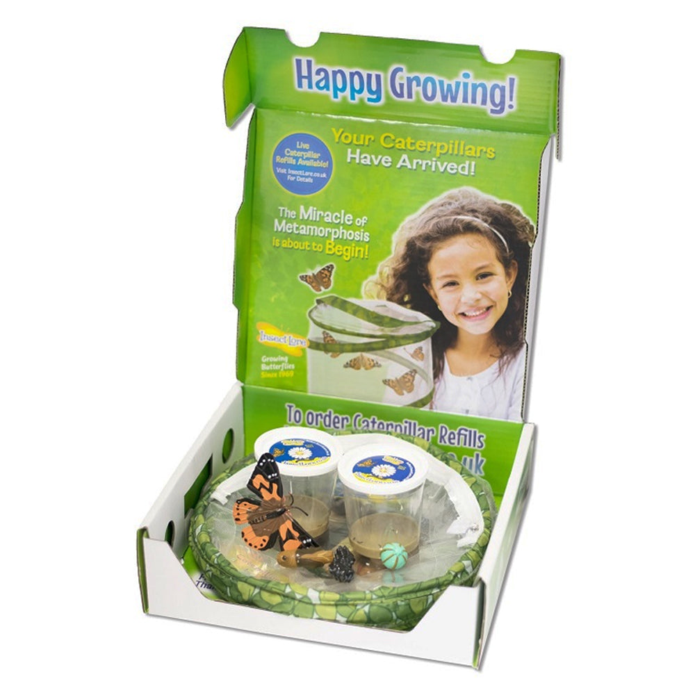 Giant Butterfly Garden Shipping Box when sent with 6-10 Live Caterpillars. Also featured are the Painted Lady Lifecycle Stages.