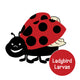 BugLand™ with Ladybird Larvae