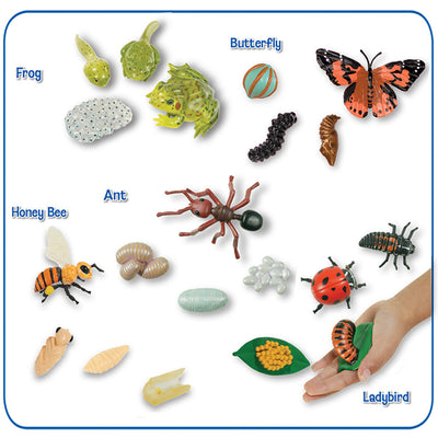 Life Cycle Figurines Collection. Includes the setd of the Butterfly, Frog, Honey Bee, Ant and Ladybird Stages. In total 20 pieces. 
