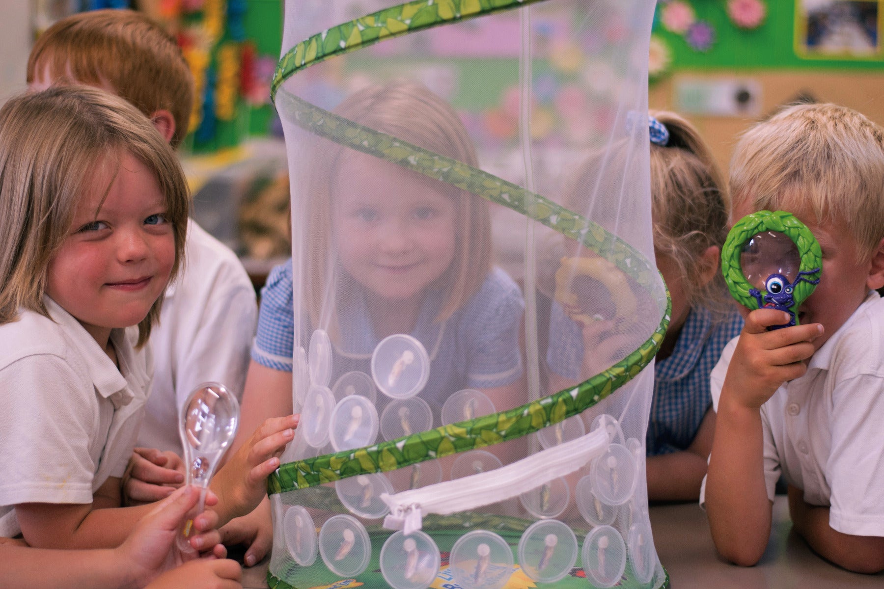 Refill Caterpillars for SCHOOL KIT (33 Caterpillars)