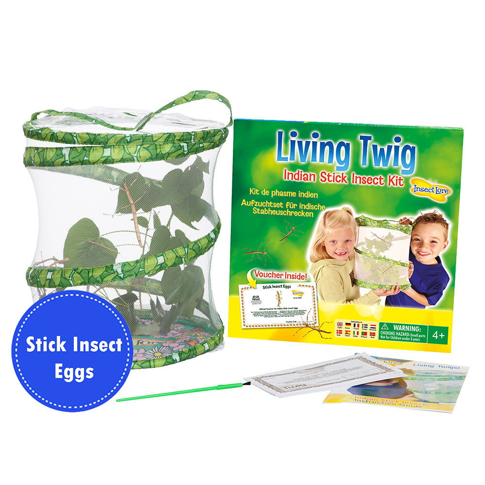 Living Twig kit, showing a habitat with stick insects, a paintbrush, instruction booklet and paper voucher