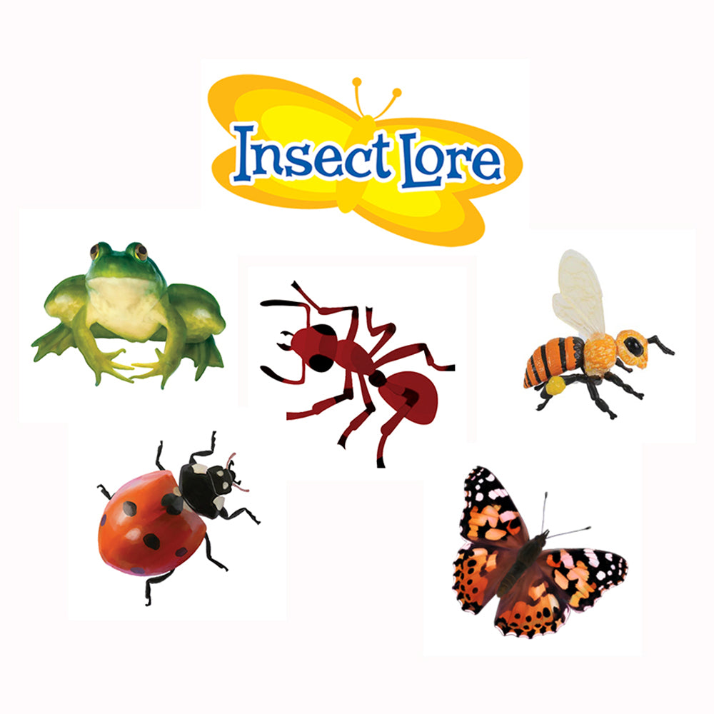 GIANT Butterfly Garden GIFT SET (6-10 Caterpillars)