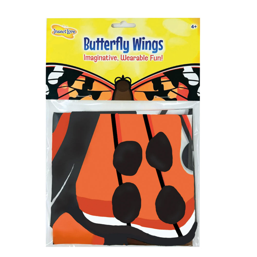 Painted Lady Butterfly Wings
